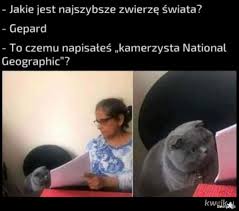 Oglądamy nasze memy kamerzysta mp3 files source planetlagu, metro lagu, bursamp3, gudang lagu, lagu76, atau stafaband untuk keperluan review. Kamerzysta Najlepsze Memy Zdjecia Gify I Obrazki Kwejk Pl
