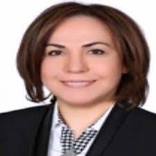 Vekil zeynep gül yılmaz'ı taşıyan otomobil, 18 temmuz günü otoyolda ihbar edildiği gerekçesiyle mersin'in erdemli ilçesinde durduruldu. 24 Haziran 2018 Genel Secim Ak Parti Mersin Siyasetci Zeynep Gul Yilmaz