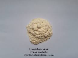 Image result for Synadenium kirkii