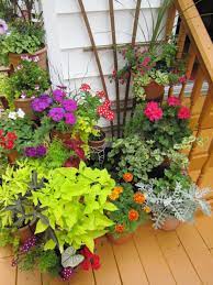 Plantscaping A Deck Or Patio Container Gardening Flowers Container Gardening Patio Plants
