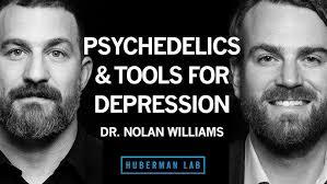 Exploring Transcranial Magnetic Stimulation (TMS)