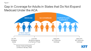 4.1 environmental and economic benefits of having indigenous indigenous is derived from the latin word indigena, meaning sprung from the land, native and. The Coverage Gap Uninsured Poor Adults In States That Do Not Expand Medicaid Kff