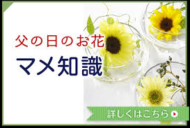 Read the rest of this entry ». çˆ¶ã®æ—¥ã®ãŠè©± çˆ¶ã®æ—¥ã®èŠ± ãƒžãƒ¡çŸ¥è­˜ 2021å¹´ ã‚¤ãƒ¼ãƒ•ãƒ­ãƒ¼ãƒ© çˆ¶ã®æ—¥ã®ãŠèŠ±ã®ãƒ—ãƒ¬ã‚¼ãƒ³ãƒˆ ã‚®ãƒ•ãƒˆç‰¹é›†