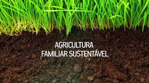 O trabalhador rural está à frente de um dos setores mais pujantes da economia brasileira: Dia Internacional Da Agricultura Familiar E Dia Do Agricultor Youtube