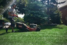 A clean cut lawn care. Summer Lawn Care Tips Assiniboine Lights Landscapes