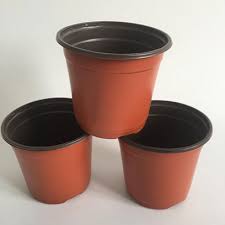 New and used items, cars, real estate, jobs, services, vacation eastern canada international is a family owned and operated business founded in 2015. Wholesale Large Plastic Planters Canada Wilson Garden