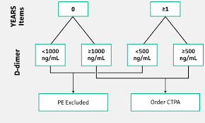 Image result for YEARS Score