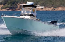 Image result for Verde Giannutri 2008 147