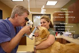 Pet boarding and kennels in tarrant county, tx. Animal Eye Clinic Home Facebook