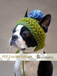 Crochet Pattern Blue Blossom Dog Hat By Beantownhandmade On Etsy Crochet Dog Hat Crochet Dog Dog Hat