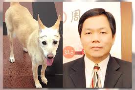 Image result for 柯文哲 賴祥蔚