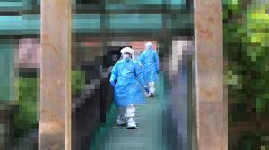 確診 confirmed / 死亡 deaths / 治癒 recovered. Drqd8z32nc1 3m