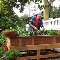 Like us on facebook to see similar stories please give an overall. Garden Box Raised Garden Vegetable Garden
