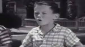 Dennis the Menace cast and character guide: Who plays whom in the CBS sitcom