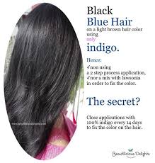 Dark Purple Hair Blue Black Hair Or Jet Black Hair Using Katam Or Indigo Powder Blue Black Hair Indigo Hair Indigo Powder For Hair