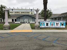 On february 6, 1971, this area was opened to the public including the lakes, which. But Which Door Leads To The Animal Shelter Wonder No More Long Beach Post News