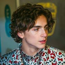 Timothee Chalamet Timothee Chalamet Pretty People Timmy T