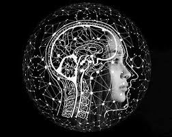 Probabil că nu vom putea înțelege niciodată toate misterele din jurul. 14 Curiozitati Despre Creierul Uman Este Uimitor Repere Eu