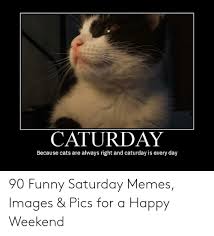 Updated daily, for more funny memes check our homepage. Caturday Because Cats Are Always Right And Caturday Is Every Day 90 Funny Saturday Memes Images Pics For A Happy Weekend Cats Meme On Awwmemes Com