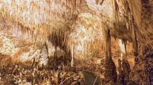 Carlsbad caverns national park is an american national park in the guadalupe mountains of southeastern new mexico. Carlsbad Caverns National Park Audubon