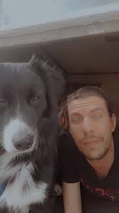 Sybiran husky in need of permanent home in central Indiana, 1 year 8 months  old, good with all animals, very playful and energetic