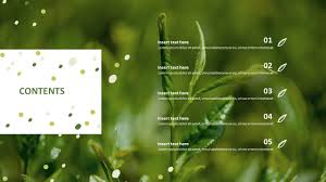 Download free presentation templates compatible with microsoft powerpoint, creative ppt backgrounds and 100% editable slide designs. Best Ppt Template Free Download Organic Green Tea