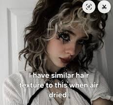 Finding a stylist for a black and white "skunk" dyed wolf cut in Knoxville