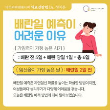 인공수정 성공 확률과 확률을 높이는 법 : 네이버 블로그