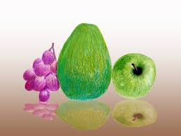 Gambar mewarnai buah buahan segar gambar mewarnai terdapat gambar gambar aneka buah buahan segar seperti buah nanas strawberry anggur pir semangka jeruk. 41 Gambar Lukisan Buah Dengan Pensil Terkini Lingkar Png