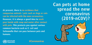 Which virus inspired the movie 'contagion'? Myths And Facts About The Coronavirus World Economic Forum