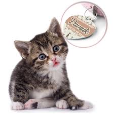 Ozellestirilebilir Kedi Isimligi Hediyemen Com