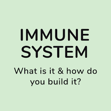 FREE ONLINE TALK: What is your immune system and how do you build ...