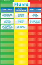 Scholastic Teachers Friend 3 Column Chart Pocket Chart Multiple Colors Tf5114