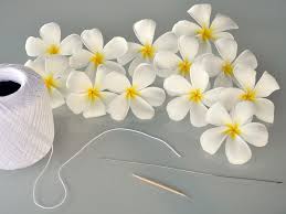 Not traditionally hawaiian, the bright and colorful orchid lei are one of the most popular lei seen at airport and luau greetings. Make A Plumeria Lei Hawaiian Crafts Hawaiian Lei Flower Making
