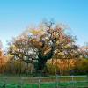 Three hills hops don't grow on trees volume three part 01. Https Encrypted Tbn0 Gstatic Com Images Q Tbn And9gcsyee1yv3xus Lkd Odrg4lqa7lvdqg63axq5bchmczpmsszwus Usqp Cau