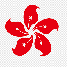 The flower in the centre is a bauhinia blakensis, a species unique to hong kong. Hong Kong Bauhinia Regional Flag Material Hong Kong Bauhinia Png Pngegg