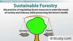 This environment is used to refer to the one created by man in order to regulate and monitor certain environmental conditions. Environmental Sustainability Definition And Application Video Lesson Transcript Study Com
