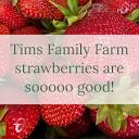 Tims Family Farm