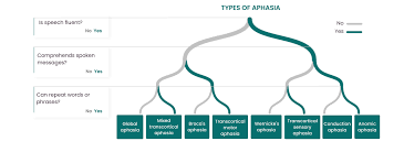 Image result for Aphasia
