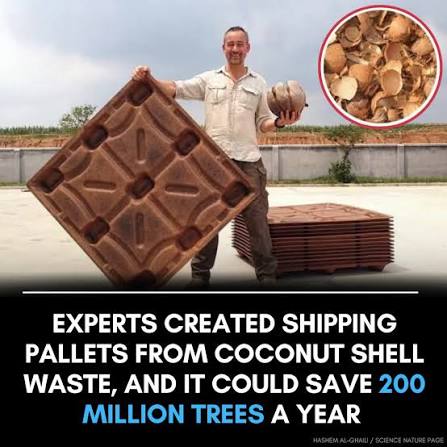 Cocopallet's eco-friendly shipping pallets made from coconut husks