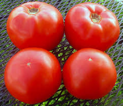 Some of the technologies we use are necessary for critical functions like security and site integrity, account authentication, security and privacy preferences. 10 Tomato Varieties You Need To Know Growing Produce