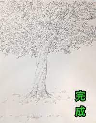 木イラストの描き方 絵の初心者ほど一気に上達する 木の書き方練習法 教えます イラスト講座 画力ゼロからはじめるイラスト漫画生活 木イラスト イラスト 絵