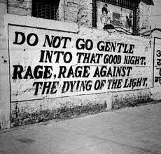 Dylan Thomas Do Not Go Gentle Into That Good Night Theme Pin By Nomis On Black N White Words Dying Of The Light Dylan Thomas