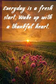 Good Morning Wallpaper Nature