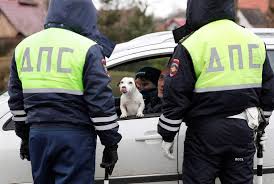 Cynthia Burrell, a massage therapist whose home-based business has been  shuttered in the coronavirus disease (COVID-19) outbreak, feeds her chicken  Speck in her backyard in Seattle, Washington, U