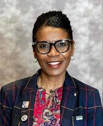 Appointed last year to replace disgraced Link, state Sen. Adriane Johnson  to run in 2022