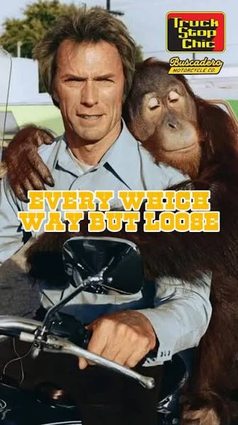 Every Which Way But Loose from 1978 and Any Which Way You Can in 1980 threw  Clint Eastwood into a beer-soaked brawler’s world far from Dirty Harry. He  played Philo Beddoe, a truck-driving, ...