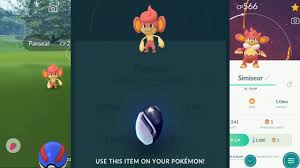 Using Unova Stone On Pansear Simisear Pokemon Go