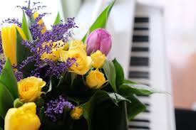 Di compleanno con delle rose bianche ok queste sono le nostre due basi quindi dentro c'è spugna bagnata eh la base trattiene l'acqua quindi non fuoriuscirà niente e eh andiamo a inserire un po' di verde di fondo per coprire parte della spugna così quando andremo poi inserire le rose non si vedrà e poi ovviamente formeremo il numero novanta okay chi c'è live c'è già qualcuno l'ha detto. Tipi Di Fiori Da Regalare Per Ogni Occasione Youglamour