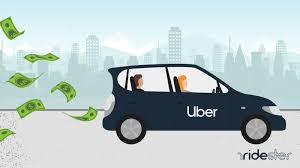 You make money for every trip your drivers complete. How Much Do Uber Drivers Make Pay Salary Income Figures Revealed